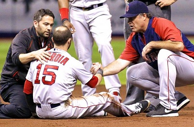 pedroia getty images