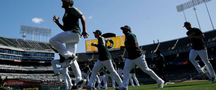 WireAP_a696977609994bfdb2414e3de91d49d2_12x5_992