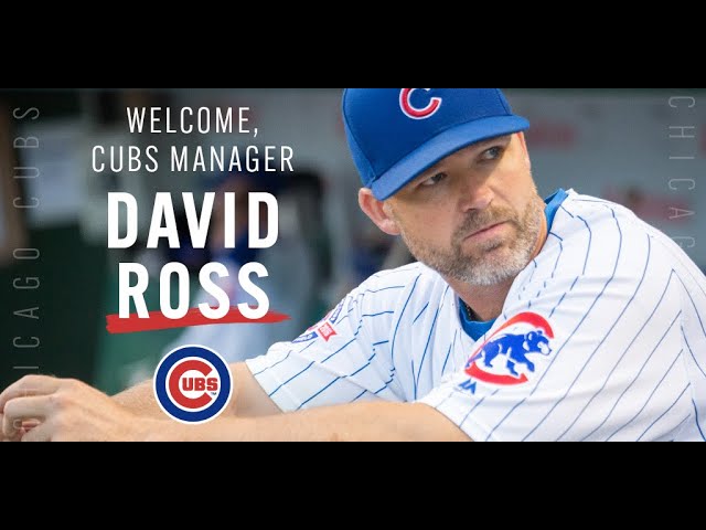 David Ross